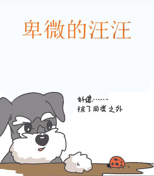 卑微的汪汪,卑微的汪汪漫畫