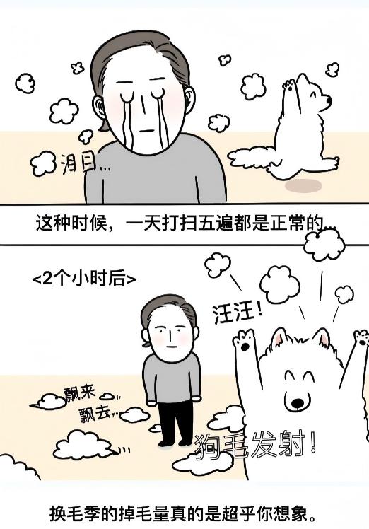 家有狗狗的煩勞,家有狗狗的煩勞漫畫