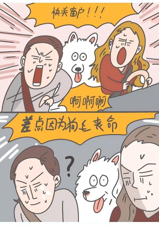 家有愛犬,家有愛犬漫畫